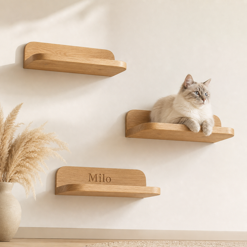 Personalized Wooden Cat Wall Shelf Set