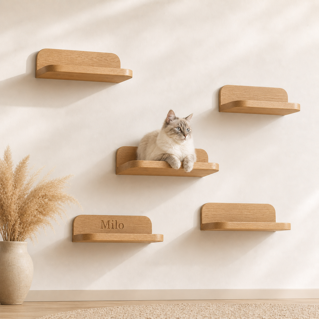 Personalized Wooden Cat Wall Shelf Set