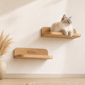 Personalized Wooden Cat Wall Shelf Set