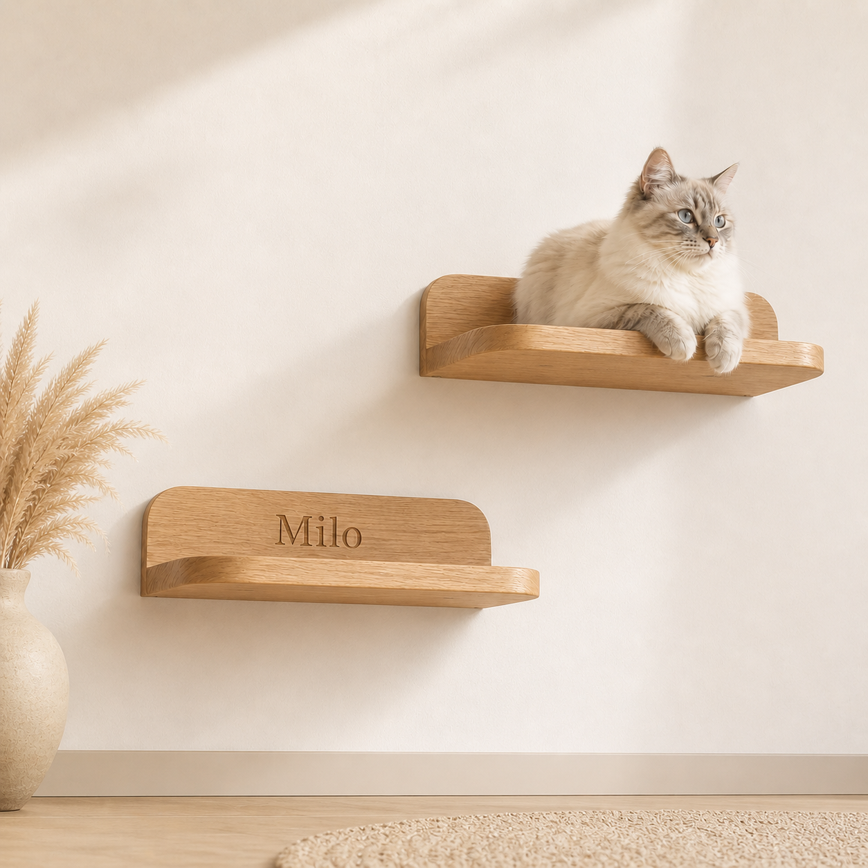 Personalized Wooden Cat Wall Shelf Set